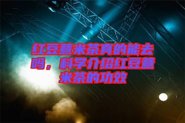 紅豆薏米茶真的能去嗎,科學介紹紅豆薏米茶的功效