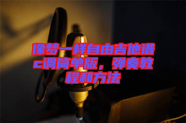 像夢(mèng)一樣自由吉他譜c調(diào)簡(jiǎn)單版，彈奏教程和方法