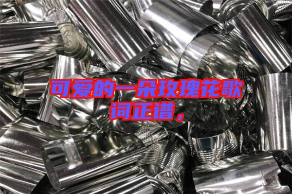 可愛的一朵玫瑰花歌詞正譜，