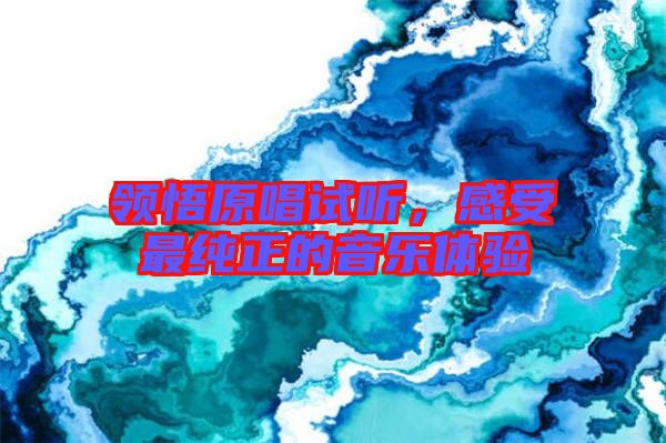 領悟原唱試聽，感受最純正的音樂體驗