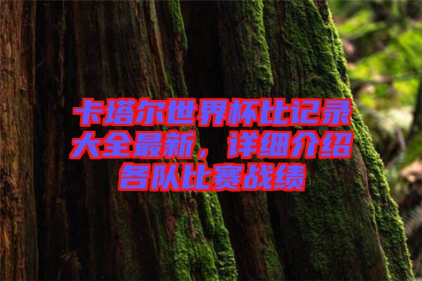 卡塔爾世界杯比記錄大全最新，詳細(xì)介紹各隊比賽戰(zhàn)績