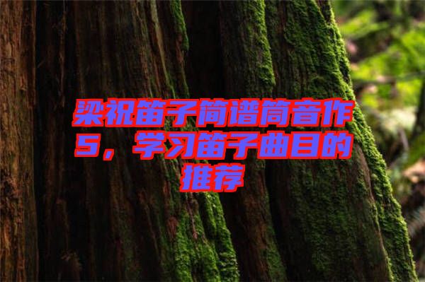 梁祝笛子簡譜筒音作5,學習笛子曲目的推薦