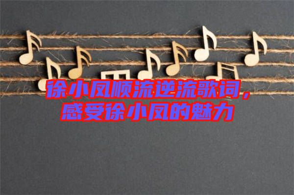 徐小鳳順流逆流歌詞,感受徐小鳳的魅力