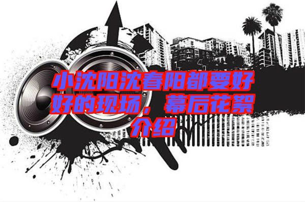 小沈陽沈春陽都要好好的現場,幕后花絮介紹