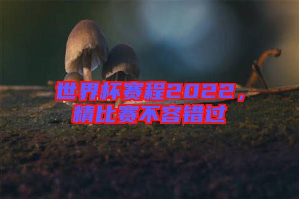 世界杯賽程2022,精比賽不容錯過