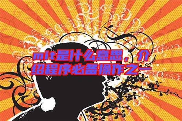 mit是什么意思,介紹程序必備操作之一