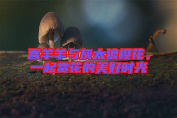 喜羊羊與灰太狼櫻花,一起賞花的美好時光