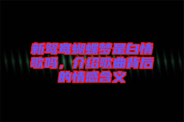 新鴛鴦蝴蝶夢是白情歌嗎,介紹歌曲背后的情感含義