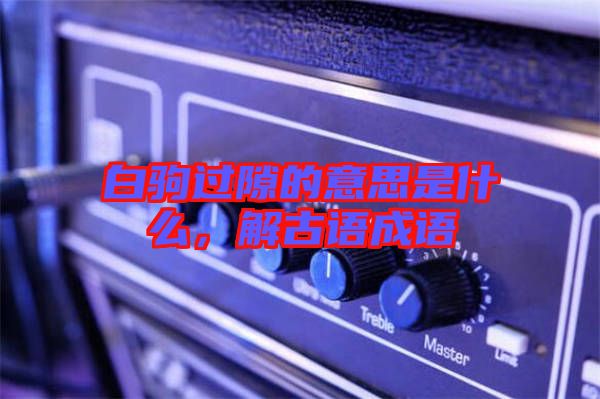 白駒過隙的意思是什么,解古語成語