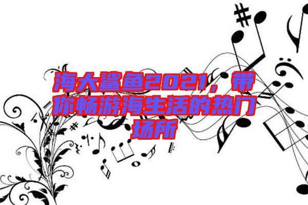 海大鯊魚2021,帶你暢游海生活的熱門場(chǎng)所