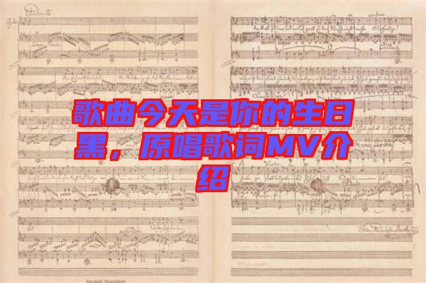 歌曲今天是你的生日黑,原唱歌詞MV介紹