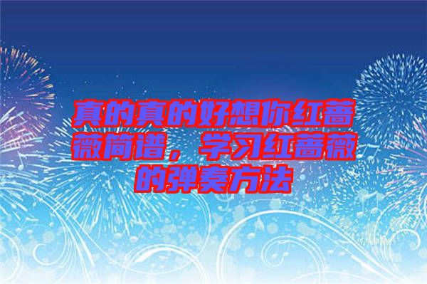 真的真的好想你紅薔薇簡譜,學習紅薔薇的彈奏方法