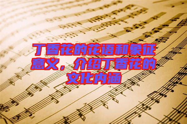 丁香花的花語和象征意義,介紹丁香花的文化內涵