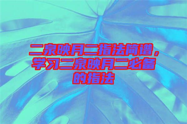 二泉映月二指法簡譜,學習二泉映月二必備的指法