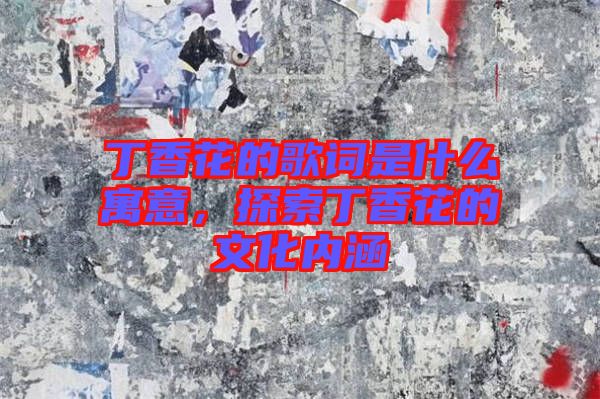 丁香花的歌詞是什么寓意，探索丁香花的文化內涵