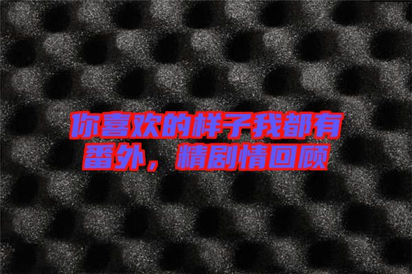 你喜歡的樣子我都有番外,精劇情回顧