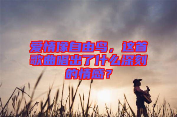 愛情像自由鳥,這首歌曲唱出了什么深刻的情感?