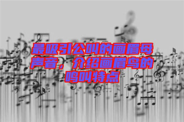 最吸引公叫的畫眉母聲音,介紹畫眉鳥的鳴叫特點(diǎn)