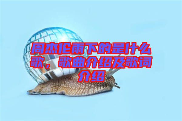 周杰倫雨下的是什么歌，歌曲介紹及歌詞介紹