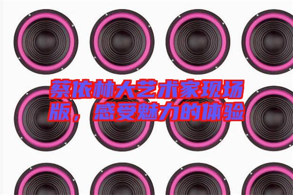 蔡依林大藝術(shù)家現(xiàn)場(chǎng)版,感受魅力的體驗(yàn)