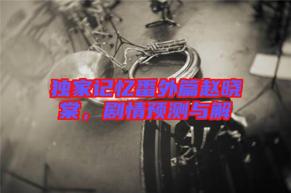 獨家記憶番外篇趙曉棠,劇情預測與解