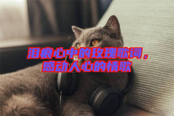 淚痕心中的玫瑰歌詞,感動(dòng)人心的情歌