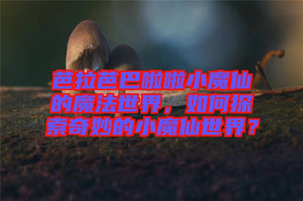 芭拉芭巴啦啦小魔仙的魔法世界,如何探索奇妙的小魔仙世界?