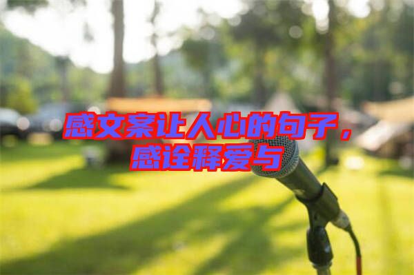 感文案讓人心的句子,感詮釋愛(ài)與