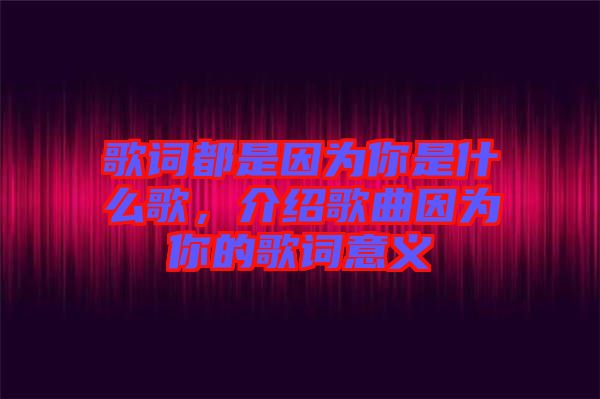 歌詞都是因為你是什么歌,介紹歌曲因為你的歌詞意義