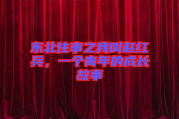 東北往事之我叫趙紅兵,一個青年的成長故事