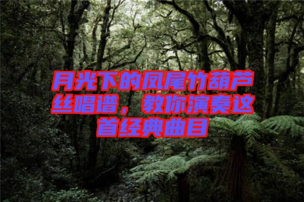 月光下的鳳尾竹葫蘆絲唱譜,教你演奏這首經典曲目