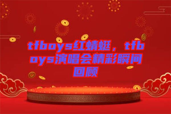 tfboys紅蜻蜓,tfboys演唱會(huì)精彩瞬間回顧