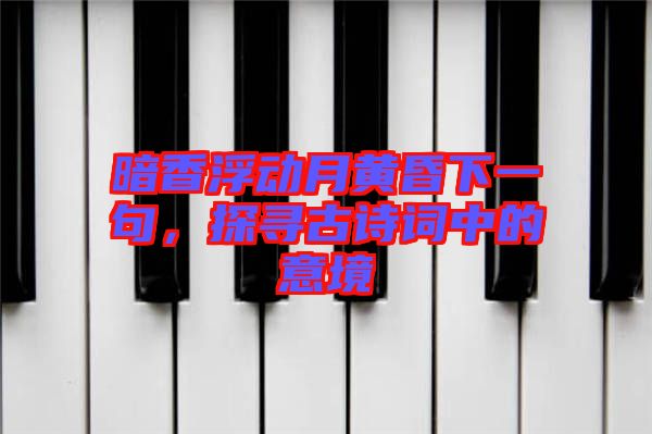 暗香浮動月黃昏下一句,探尋古詩詞中的意境