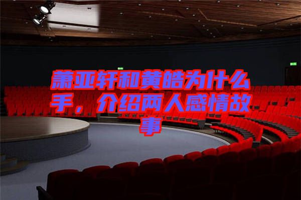 蕭亞軒和黃皓為什么手,介紹兩人感情故事