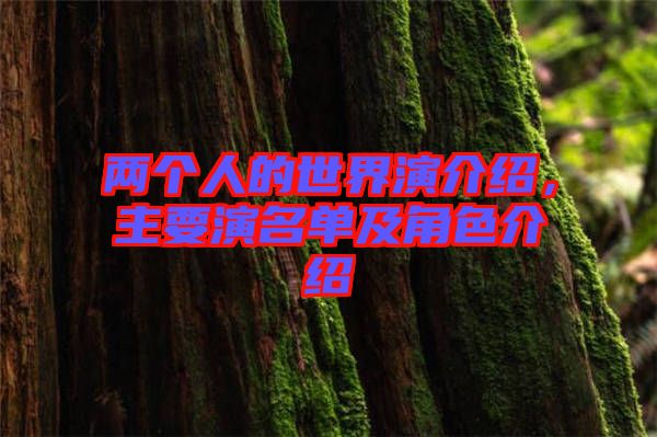 兩個人的世界演介紹,主要演名單及角色介紹