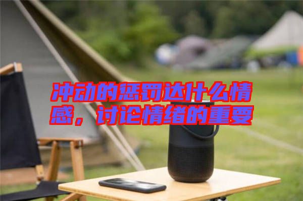 沖動的懲罰達什么情感,討論情緒的重要