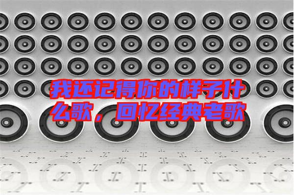我還記得你的樣子什么歌，回憶經典老歌