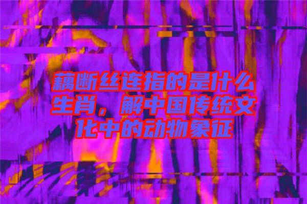 藕斷絲連指的是什么生肖,解中國傳統文化中的動物象征