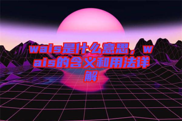 wais是什么意思,wais的含義和用法詳解