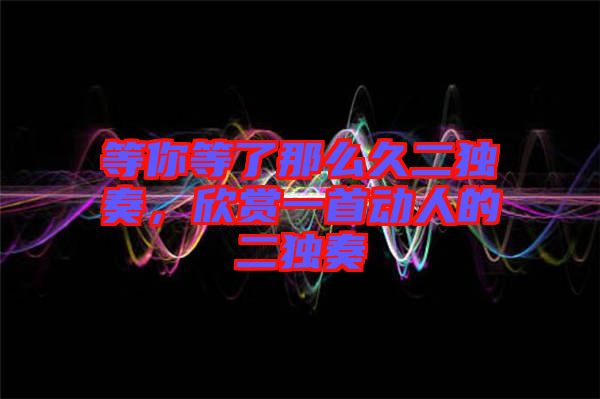 等你等了那么久二獨奏,欣賞一首動人的二獨奏