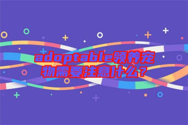 adoptable領養寵物需要注意什么?