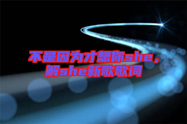 不是因為才想你she,解she新歌歌詞