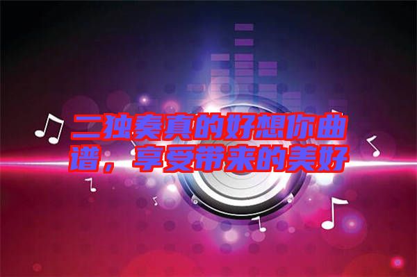 二獨奏真的好想你曲譜,享受帶來的美好