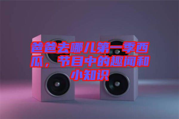 爸爸去哪兒第一季西瓜,節(jié)目中的趣聞和小知識(shí)