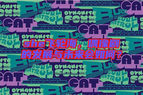 she飛輪海,偶像劇的發展與未來會如何?