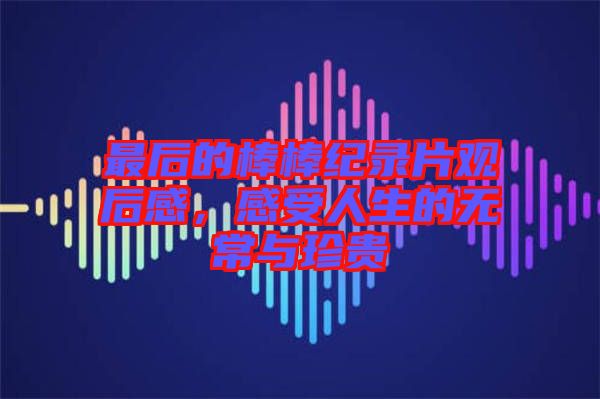 最后的棒棒紀錄片觀后感,感受人生的無常與珍貴