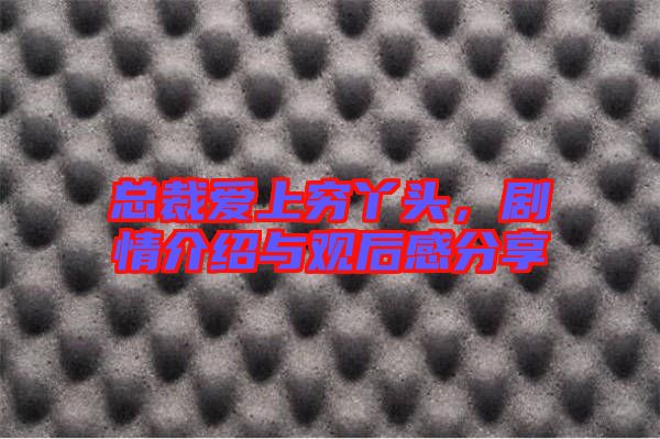 總裁愛上窮丫頭,劇情介紹與觀后感分享