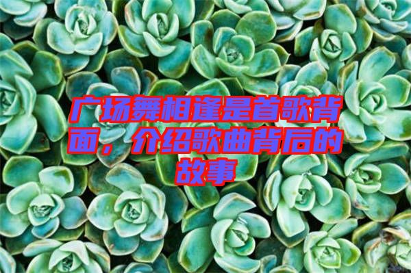 廣場舞相逢是首歌背面,介紹歌曲背后的故事