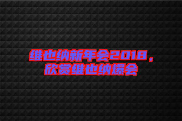 維也納新年會2018,欣賞維也納爆會