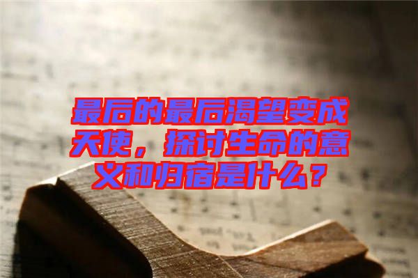 最后的最后渴望變成天使,探討生命的意義和歸宿是什么?